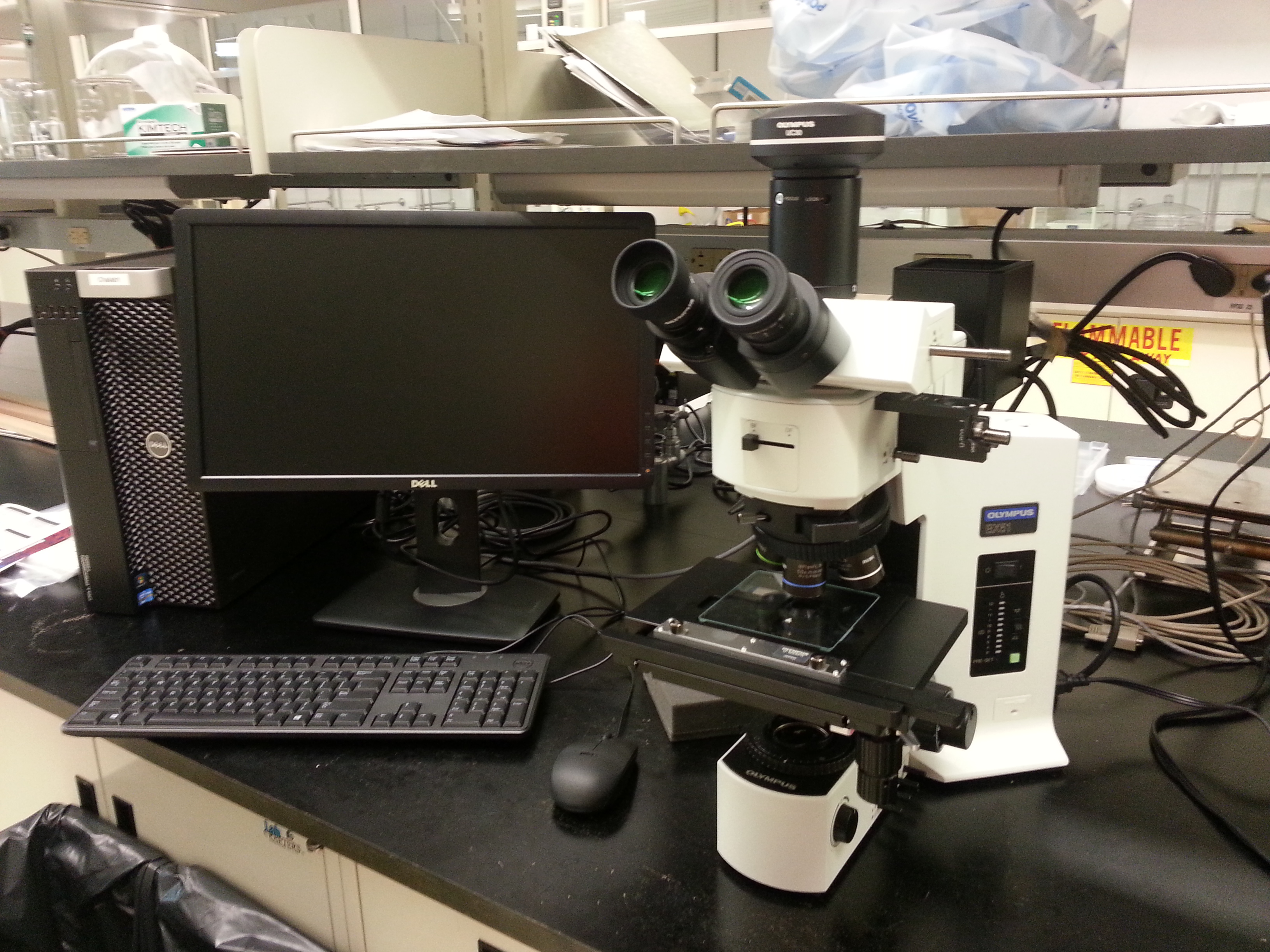 optical microscope